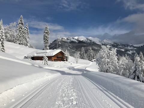 Holiday apartment in a secluded location with a private sauna