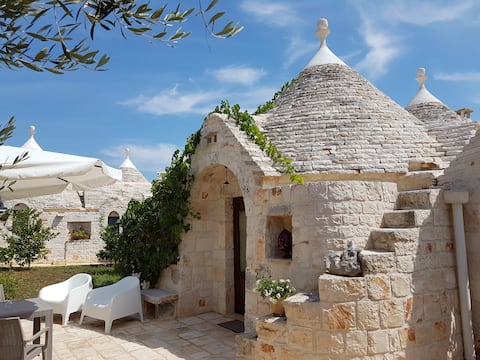 Top performing Airbnb: Almapetra Trulli Resort - "Il Cedro" Trullo in Locorotondo