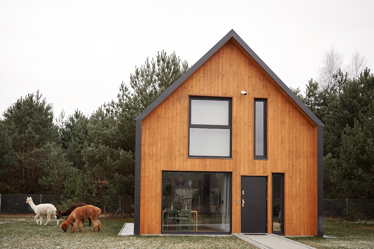 A modern wooden house features a large front window and a black entrance door. Two animals are seen in the grassy yard, set against a backdrop of evergreen trees. A stone pathway leads to the entrance, enhancing the outdoor space.