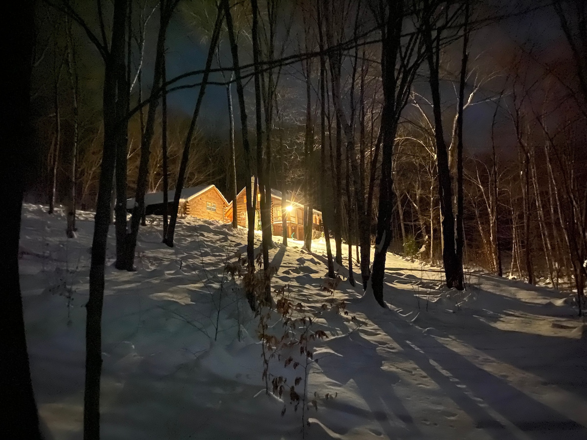 A log cabin is visible nestled among tall trees, illuminated by warm lights that shine through the windows. The snowy landscape reflects the soft glow, with shadows cast by the trees creating a serene and tranquil atmosphere during the night.