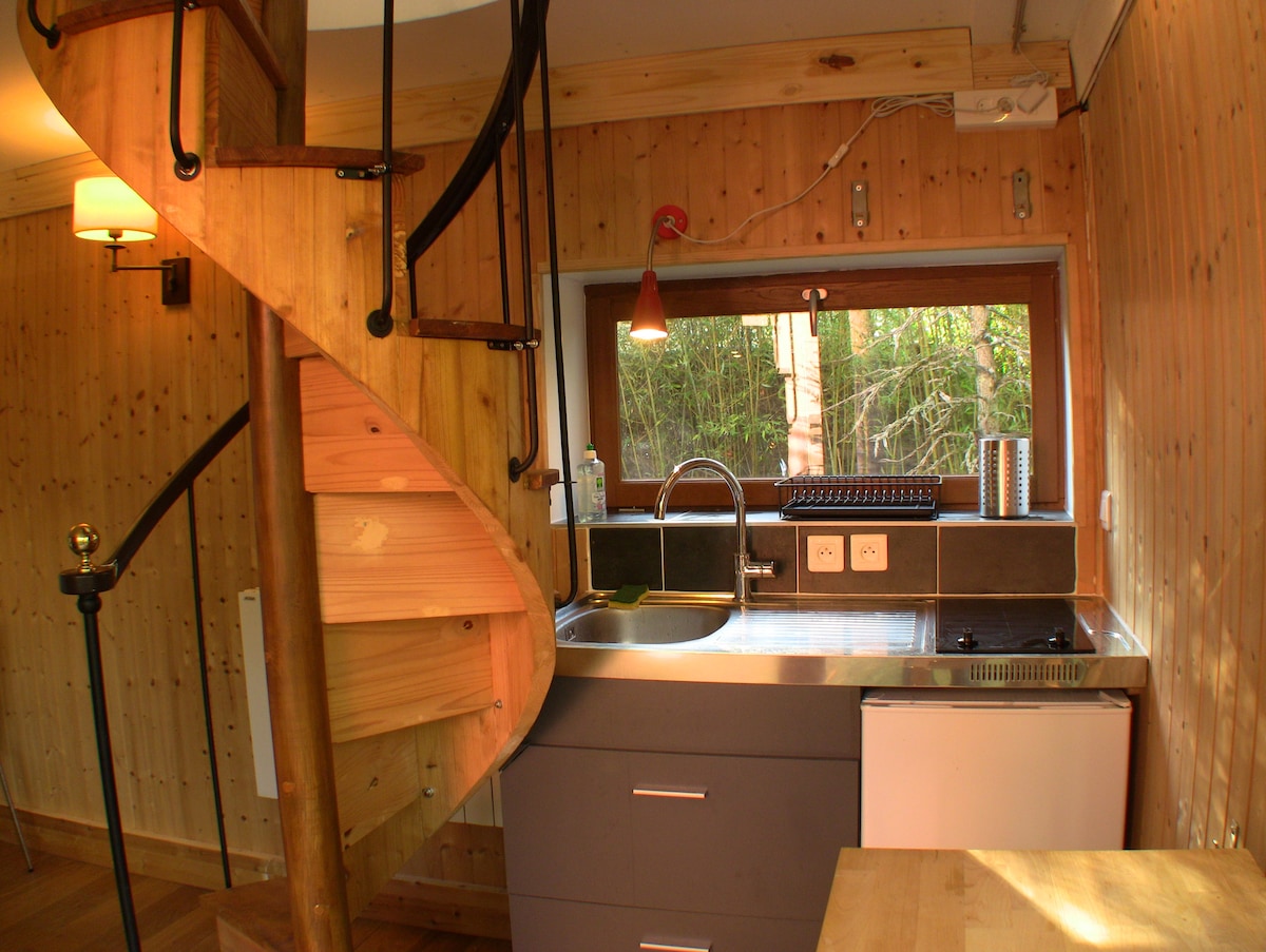 An interior view of the tiny house highlights a spiral staircase made of wood and metal. A compact kitchenette is presented alongside stainless steel countertops, featuring a sink, stove, and refrigerator. Natural wood paneling covers the walls, providing a cozy ambiance, with a window revealing greenery outside.
