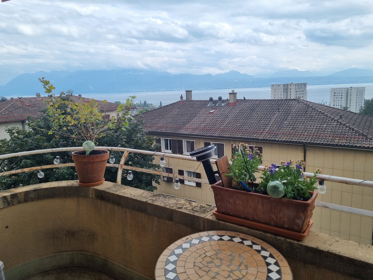 A balcony is showcased, featuring a mosaic table surrounded by planters filled with blooming flowers. In the background, the tranquil lake and distant mountains are visible under an overcast sky, enhancing the scenic view of the surrounding neighborhood.