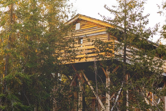 A rustic wooden structure is elevated among tall trees, showcasing a natural setting. The building features a weathered wood exterior with a gabled roof, complemented by surrounding greenery. Sunlight filters through the branches, illuminating the cabin and creating a serene atmosphere.