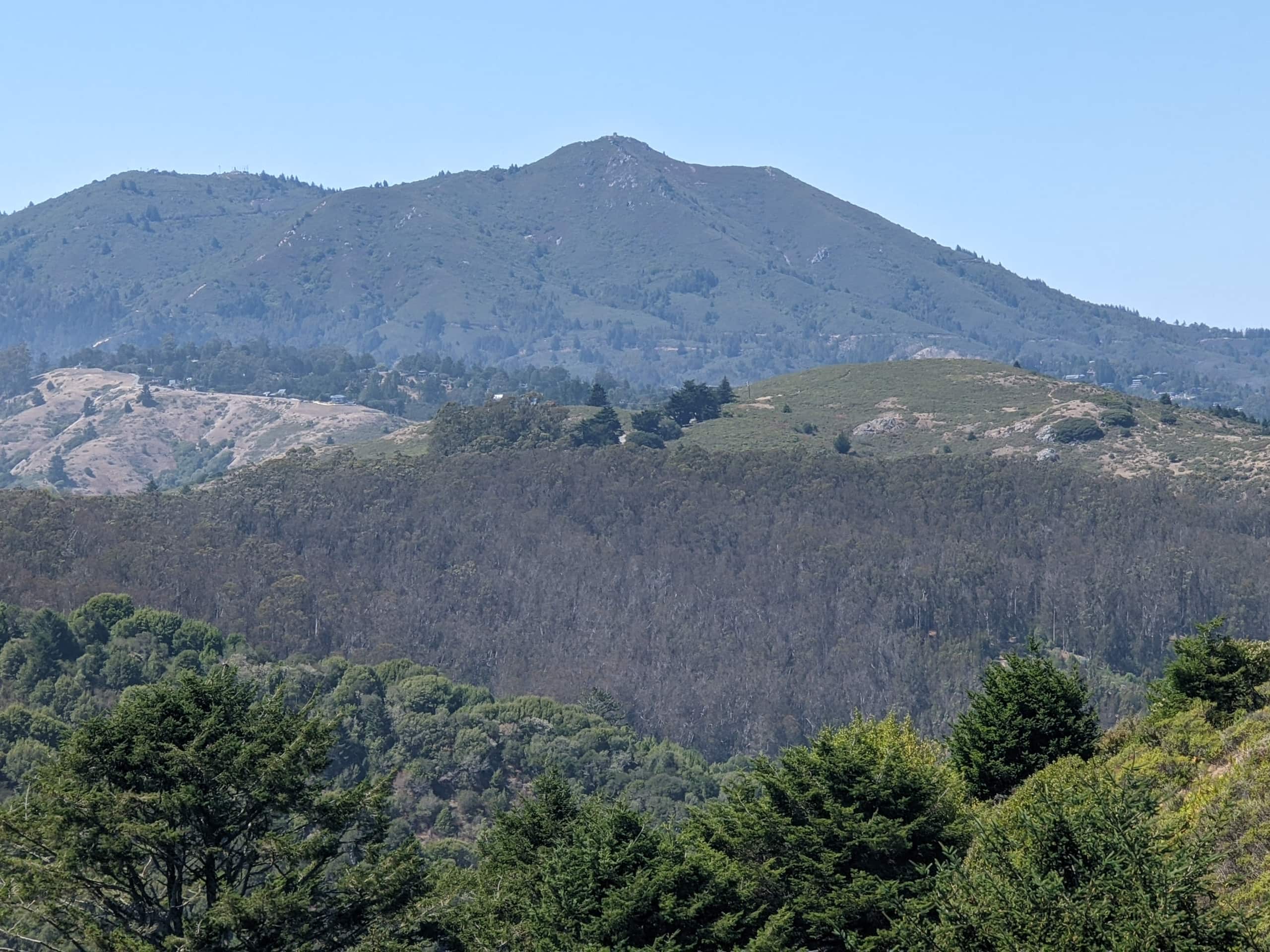 Huge Muir Woods Retreat, 5 BR/5 BA near GG Bridge - Photo 63