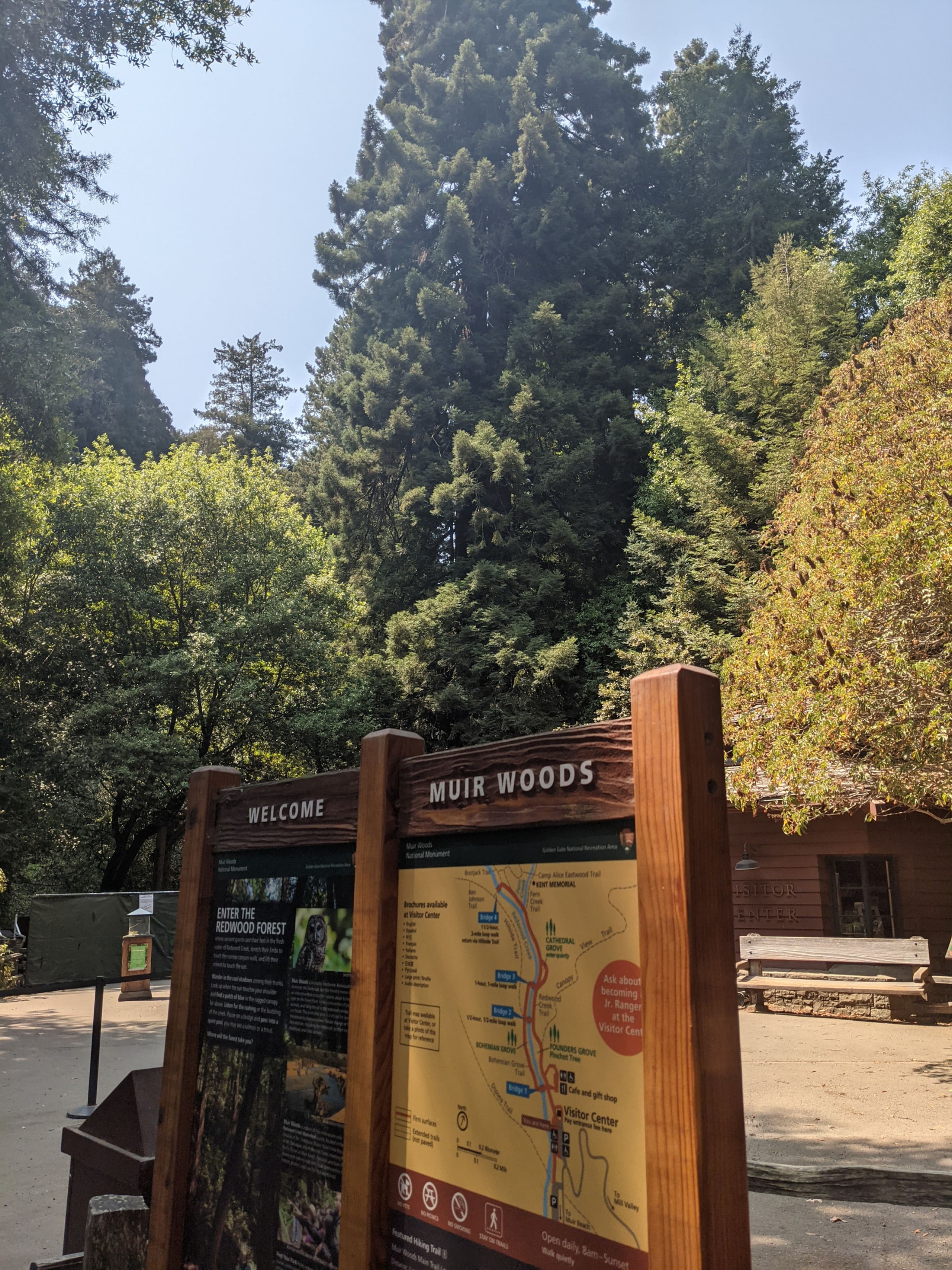 Huge Muir Woods Retreat, 5 BR/5 BA near GG Bridge - Photo 65