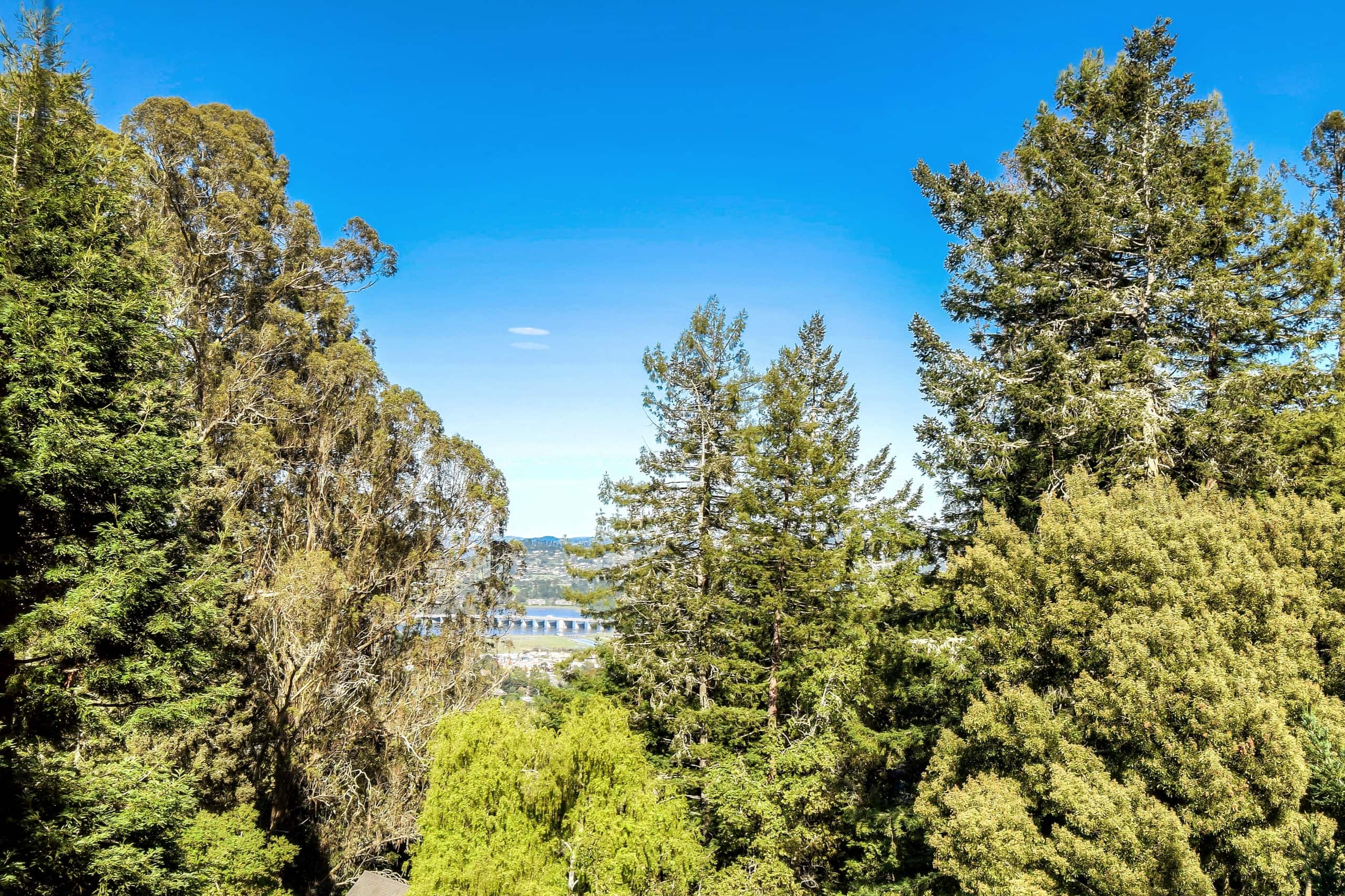 Huge Muir Woods Retreat, 5 BR/5 BA near GG Bridge - Photo 50