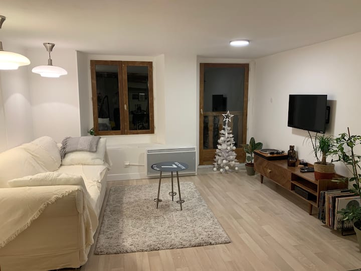 Au Coeur De La Veille Ville D'annecy - 阿訥西