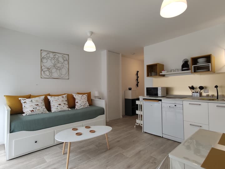 Angers New and cozy 24m2 studio with parking Apartments for Rent in