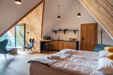 Top performing Airbnb: Studio shelter house 2nd floor, view of the Tatras in Gmina Kościelisko
