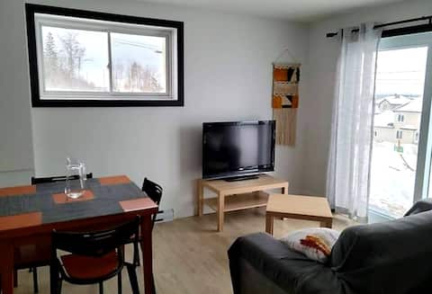 Successful Airbnb property: ☼Bella Vista,☼ ground floor with city views in Beauport