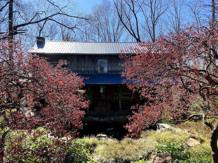 Log cabin guesthouse with flower garden Guesthouses for Rent in