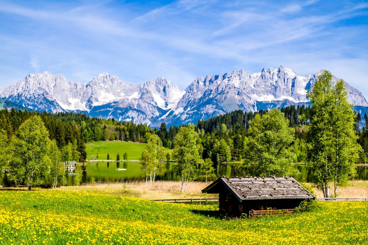 A rustic wooden cabin is nestled in a vibrant field of blooming yellow flowers, framed by lush green trees. In the background, the majestic mountains rise under a clear blue sky, their snowy peaks contrasting with the greenery and the calm lake reflecting the landscape.