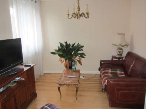 SINGLE-FAMILY HOUSE, VEHICLE PARKING IN COURTYARD