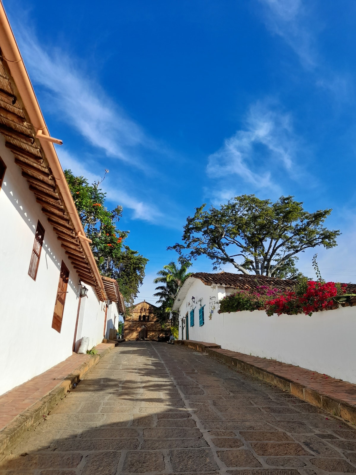 A tranquil street in Barichara features whitewashed buildings adorned with wooden shutters. Lush greenery and vibrant flowers line the pathways, leading toward a distant backdrop of trees and architecture under a bright blue sky, creating a peaceful atmosphere typical of the area.