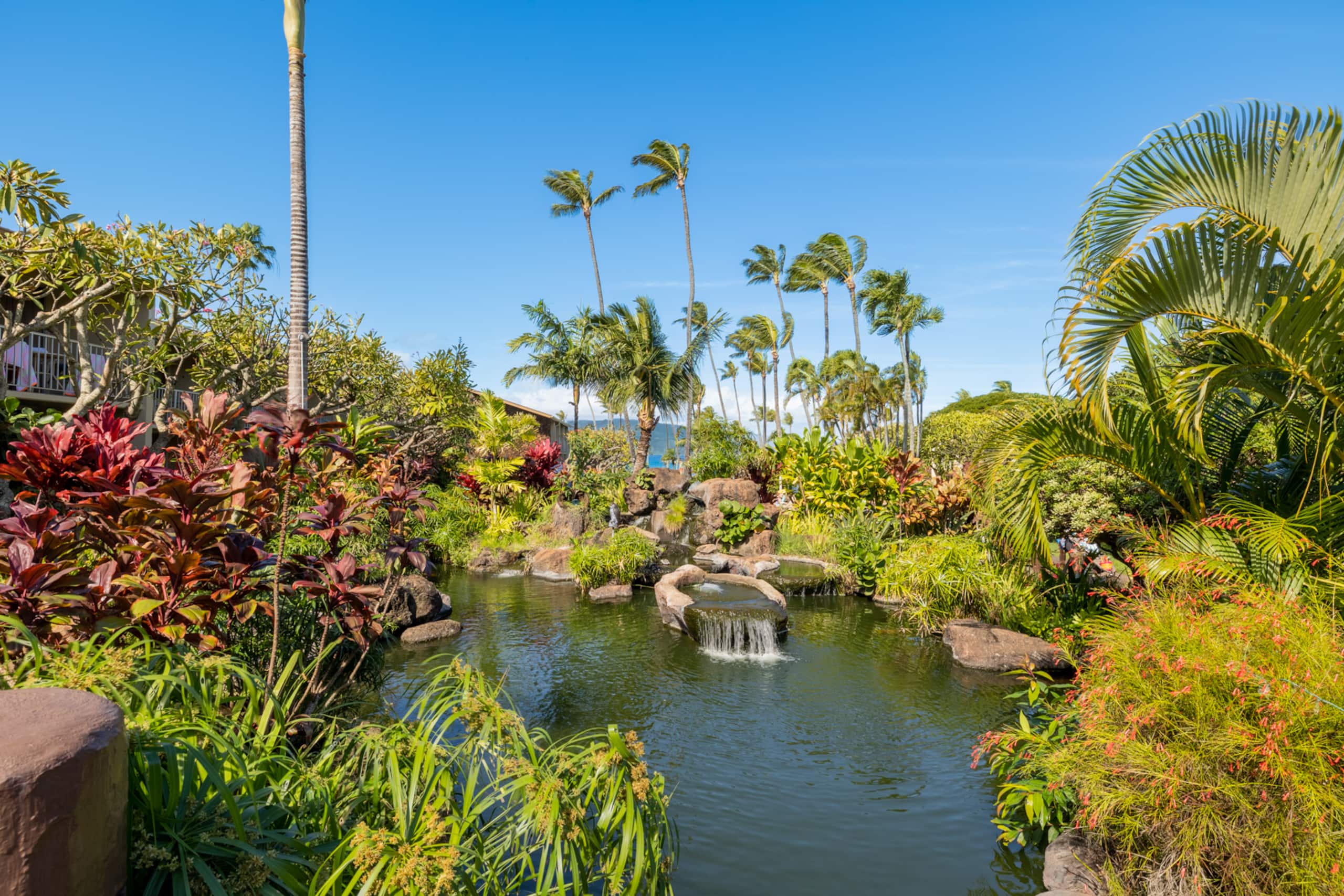 Condo in Lahaina · ★4.85 · Studio · 1 bed · 1 bath - Image 17