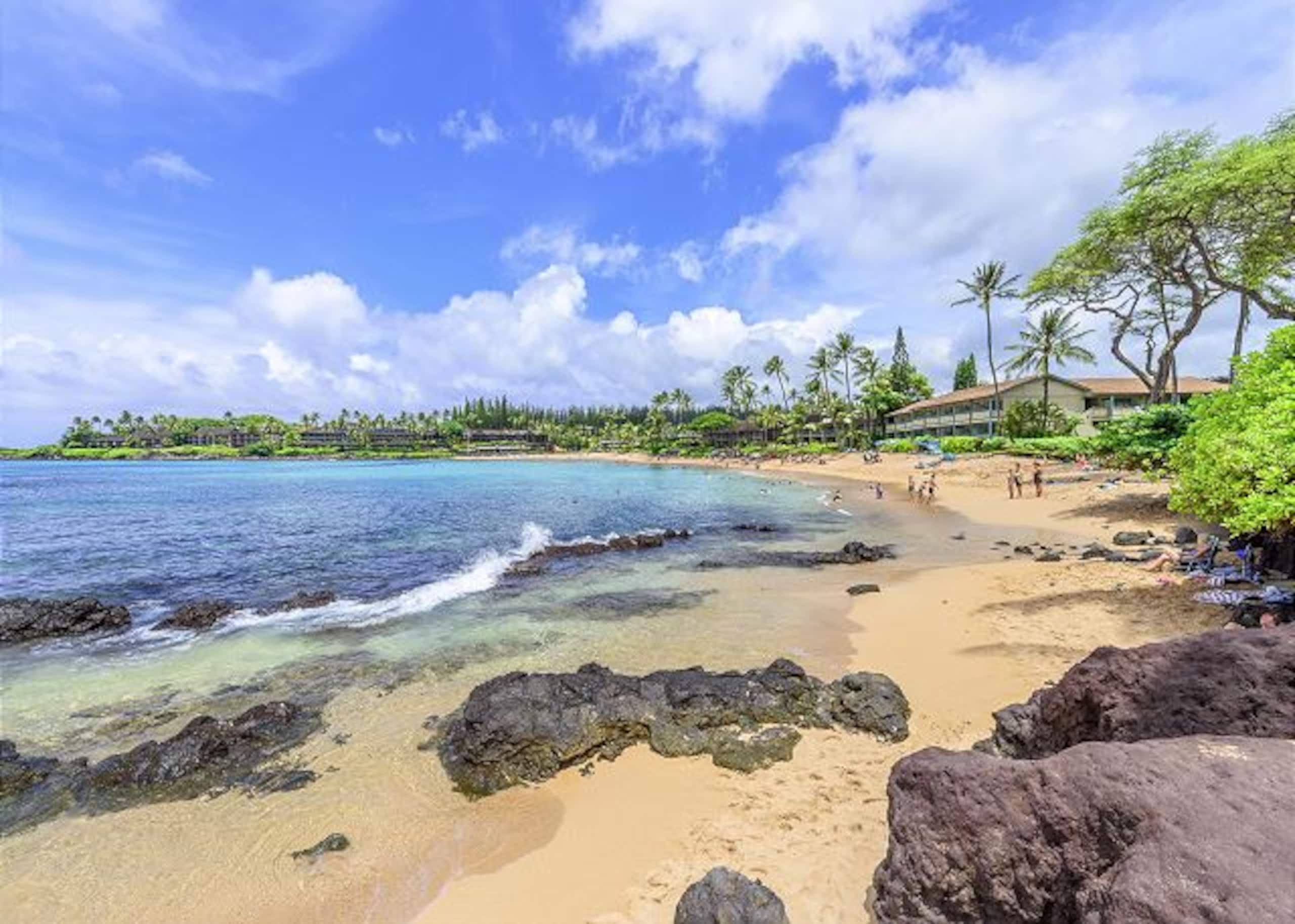 Condo in Lahaina · ★4.85 · Studio · 1 bed · 1 bath - Image 23