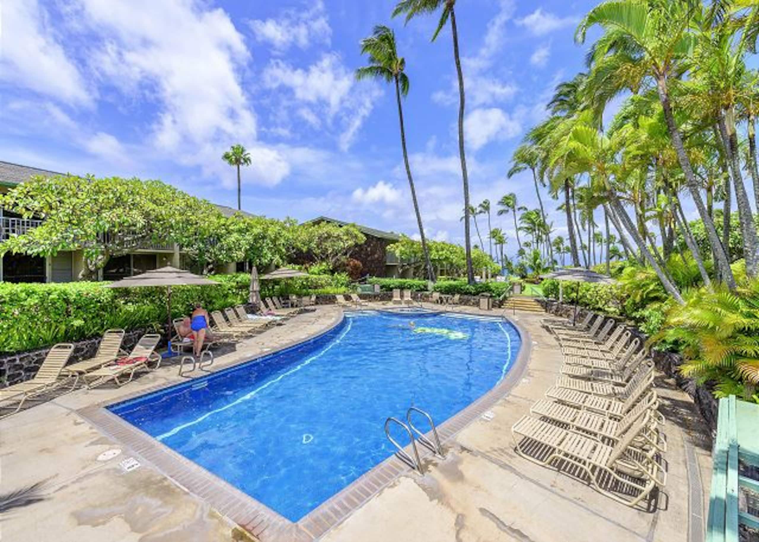 Condo in Lahaina · ★4.85 · Studio · 1 bed · 1 bath - Image 28