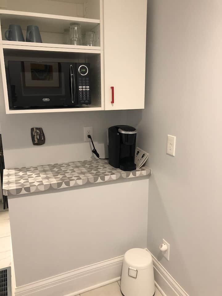 Landscape Room In Historic Downtown Neighborhood - Kalamazoo, MI