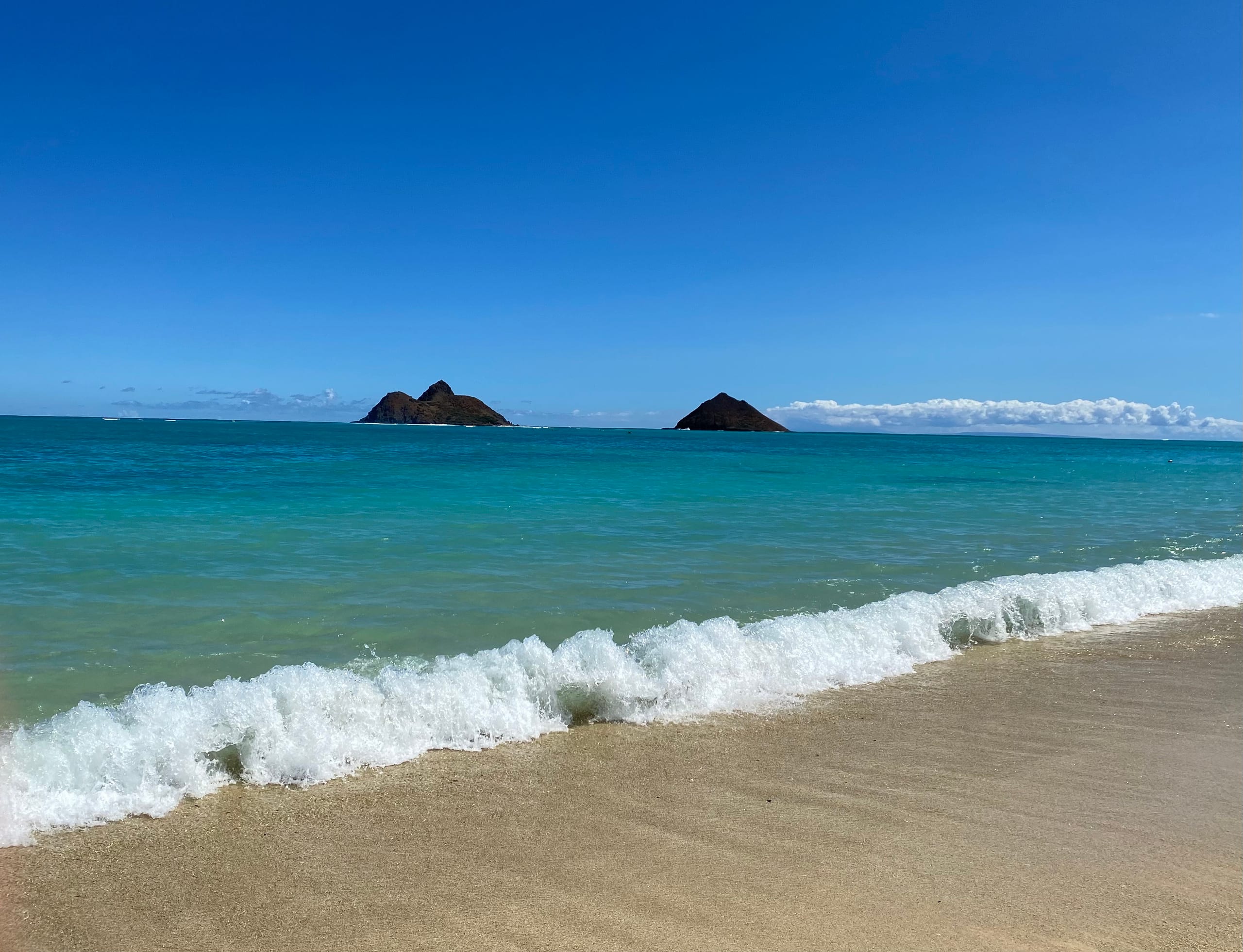 Condo in Honolulu · ★4.8 · 1 bedroom · 1 bed · 1 private bath - Image 12