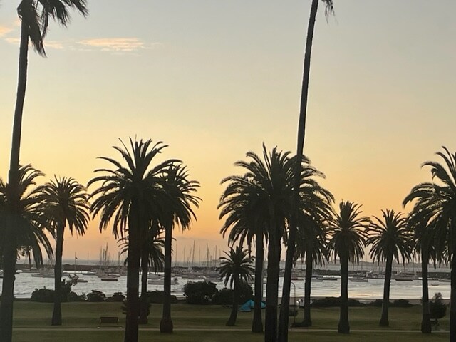 إطلالة فعلية على حدائق كاتارني من غرفة التشمس الأمامية.  يضمن الزجاج المزدوج أن يكون هادئًا جدًا في الداخل