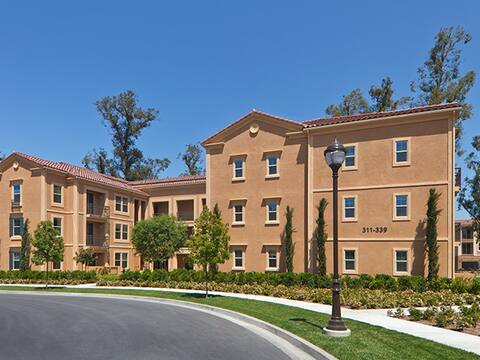 Entire one bedroom apartment with amenities