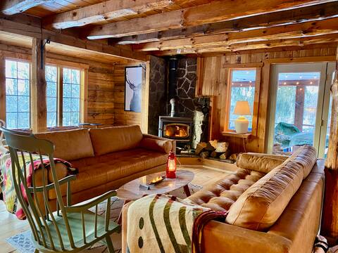 Dreamy Catskills Log Cabin With Sauna