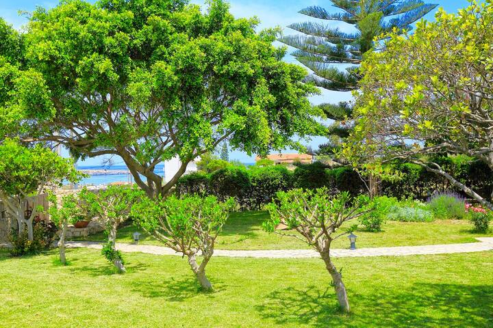 “New” Villa Denise – Karteros, Heraklion, Crete gallery image 5