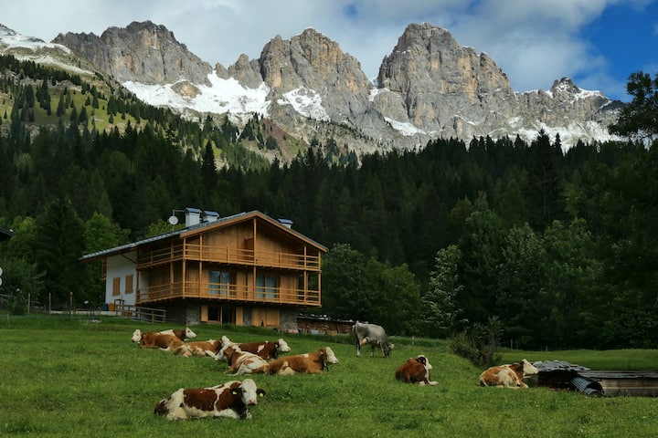 Pisoliva Vacation Rentals & Homes - Veneto, Italy | Airbnb