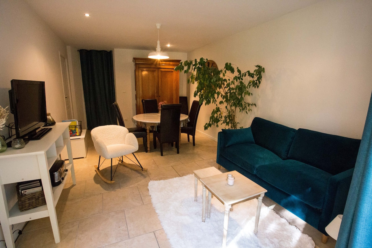 A living and dining area features a blue sofa and a white armchair, complemented by a wooden dining table surrounded by dark chairs. Soft lighting is provided by ceiling fixtures, while a leafy plant adds a touch of nature to the inviting space.