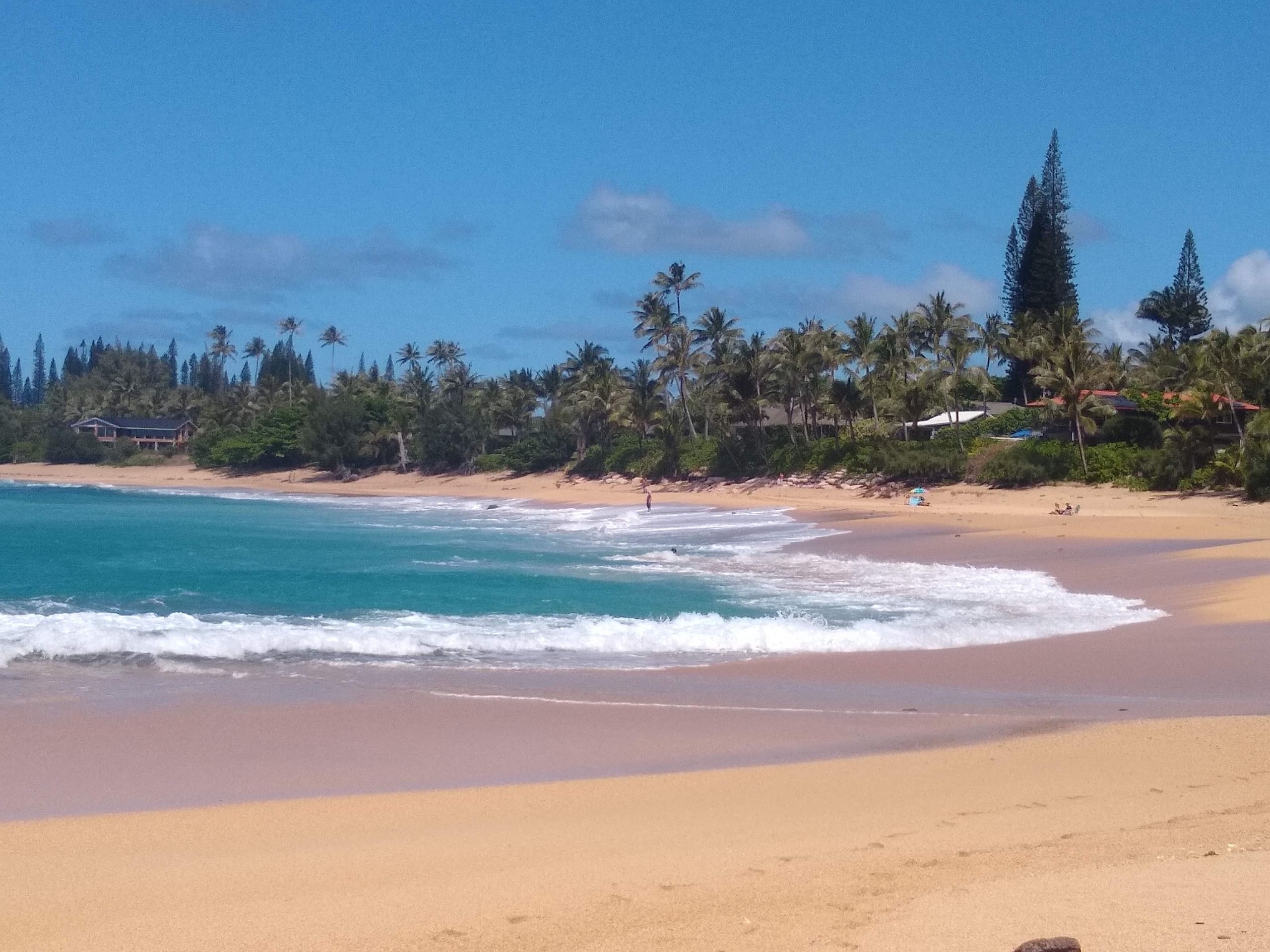Condo in Princeville · ★4.94 · 2 bedrooms · 2 beds · 2 private baths - Image 32