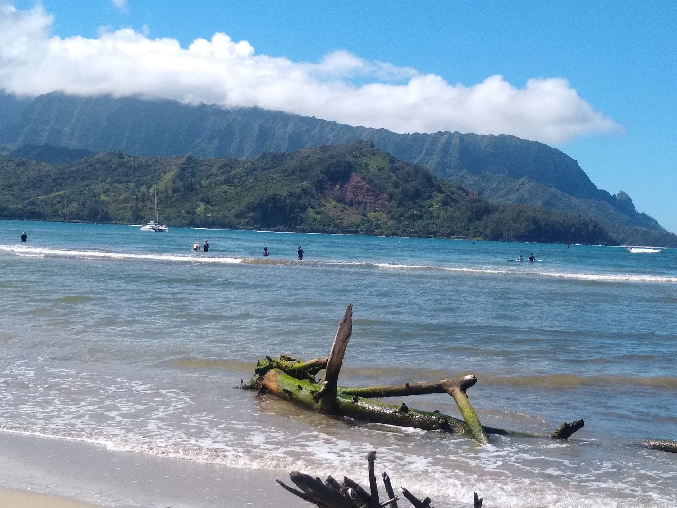 Condo in Princeville · ★4.94 · 2 bedrooms · 2 beds · 2 private baths - Image 34