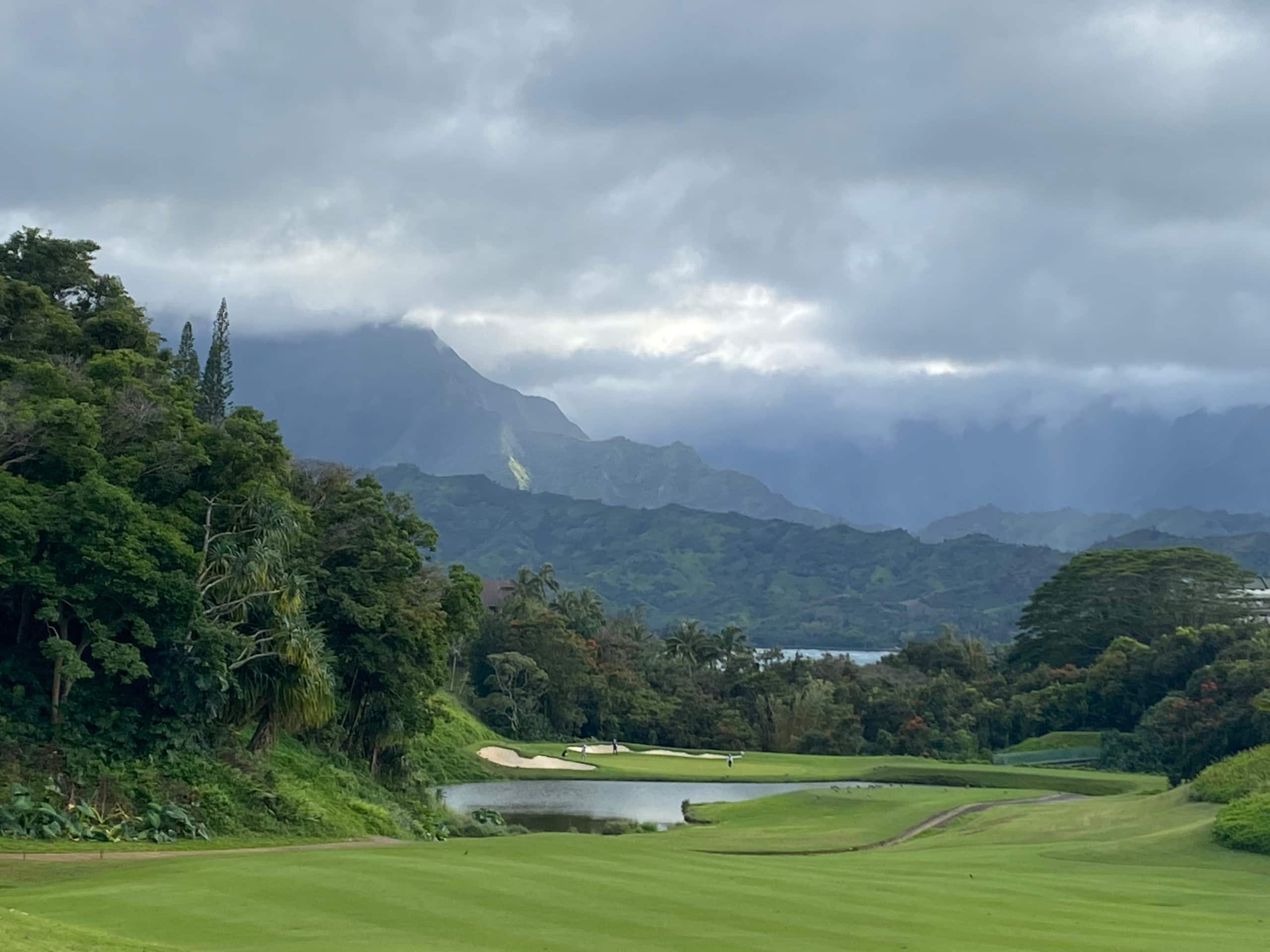 Condo in Princeville · ★4.94 · 2 bedrooms · 2 beds · 2 private baths - Image 35