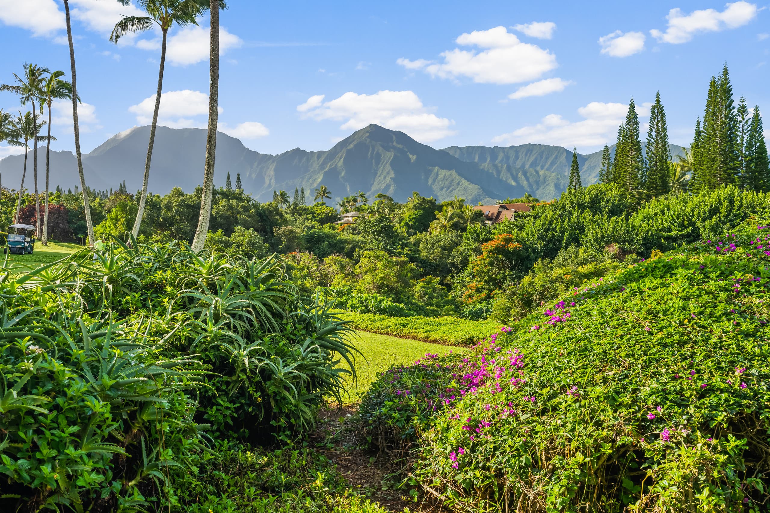 Condo in Princeville · ★4.94 · 2 bedrooms · 2 beds · 2 private baths - Image 10