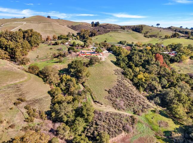 Country Gem San Jose gallery image 2