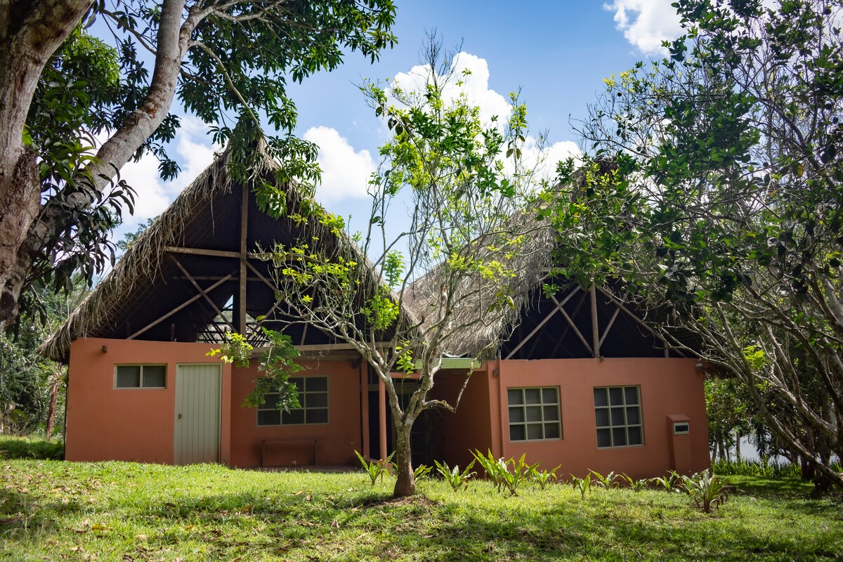 The exterior of a spacious eco-friendly house is visible, featuring a straw-thatched roof and a warm-toned facade. Lush greenery surrounds the structure, with trees and plants enhancing the natural setting. Large windows provide ample natural light, connecting the home with its tranquil environment.