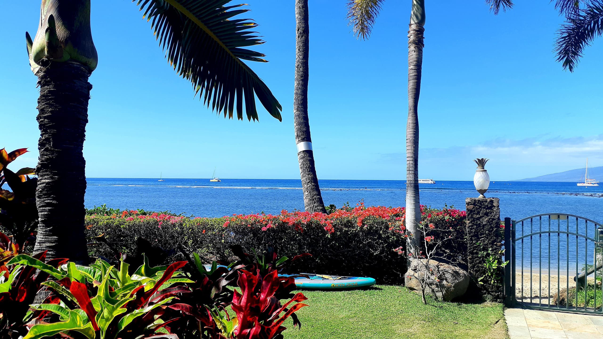 Condo in Lahaina · ★4.97 · Studio · 1 bed · 1 private bath - Image 18