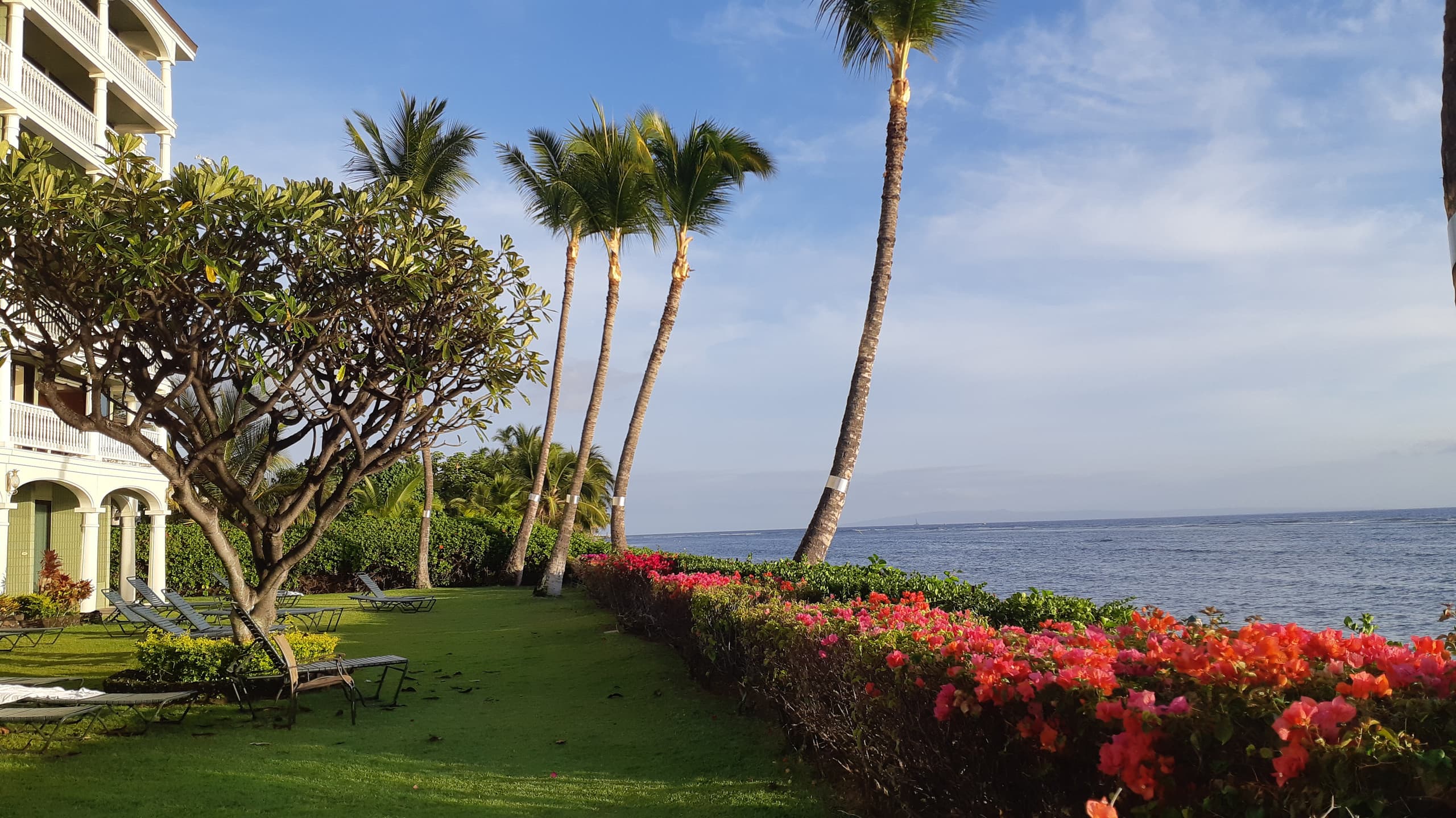 Condo in Lahaina · ★4.97 · Studio · 1 bed · 1 private bath - Image 2