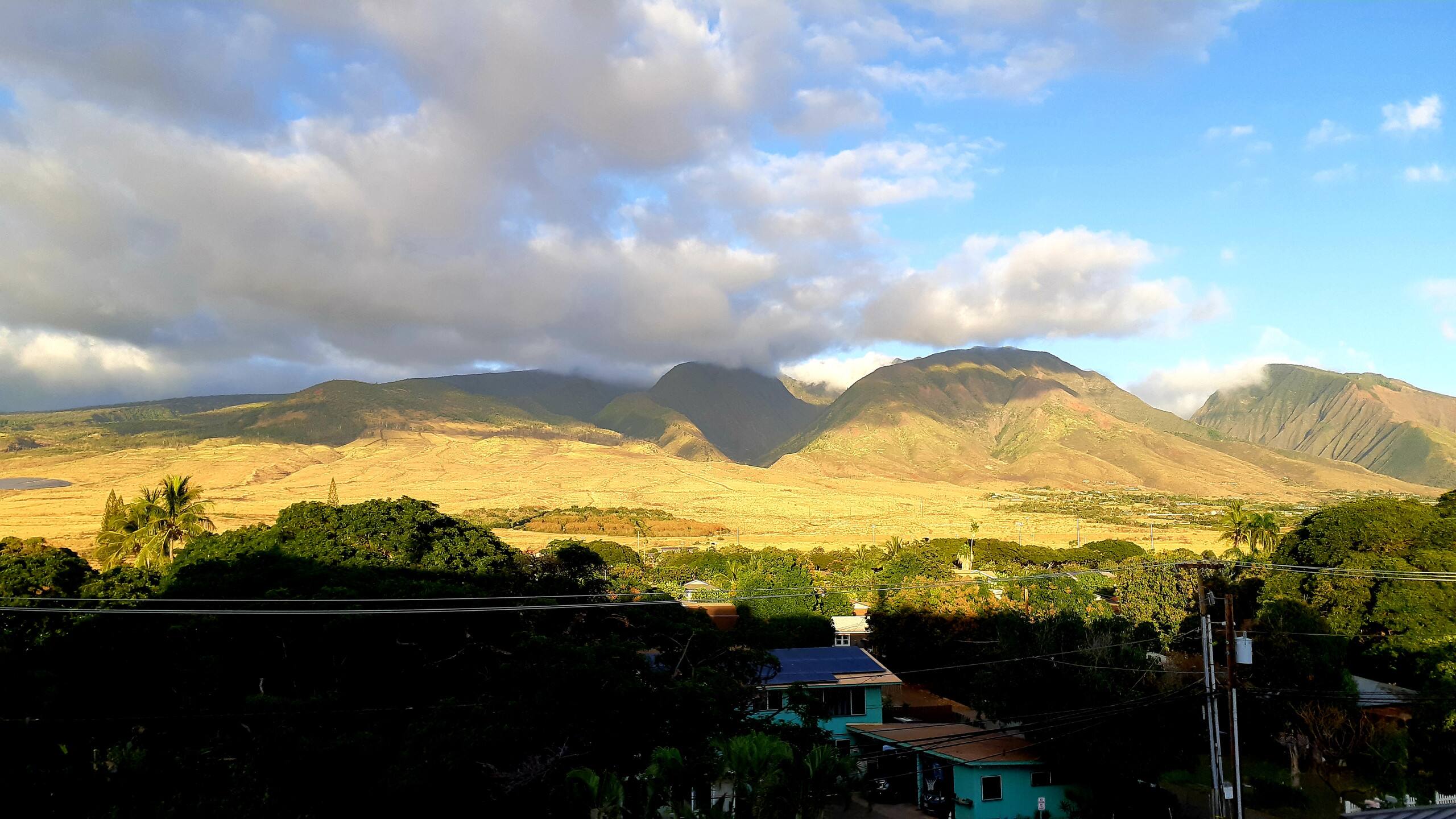 Condo in Lahaina · ★4.97 · Studio · 1 bed · 1 private bath - Image 16
