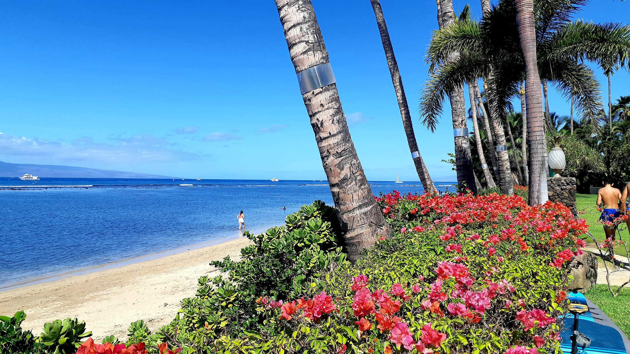 Condo in Lahaina · ★4.97 · Studio · 1 bed · 1 private bath - Image 1