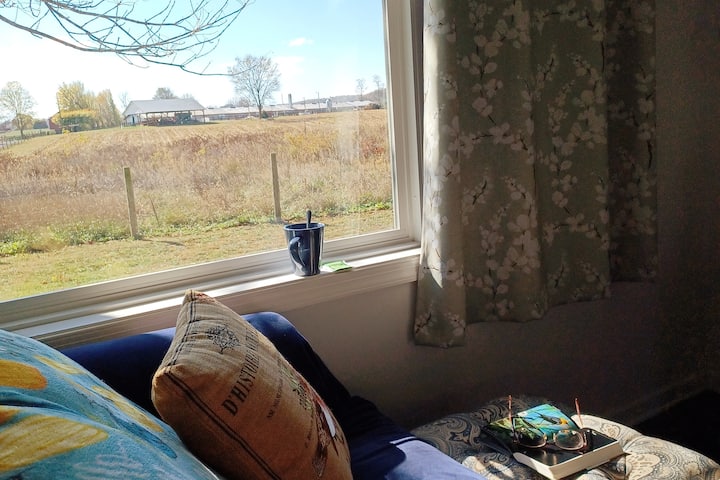 Finn's Frolic-the Place- Relax, Stay, Or Explore! - Virginia