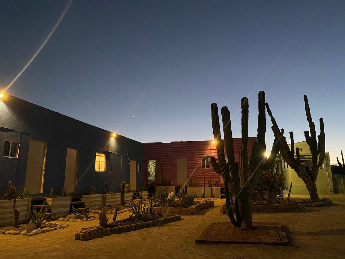 The outdoor area of the hostel features unique cactus plants surrounded by sandy pathways. The modular homes are illuminated by warm lights, highlighting the colorful exteriors. A clear evening sky transitions to night, creating a serene backdrop.