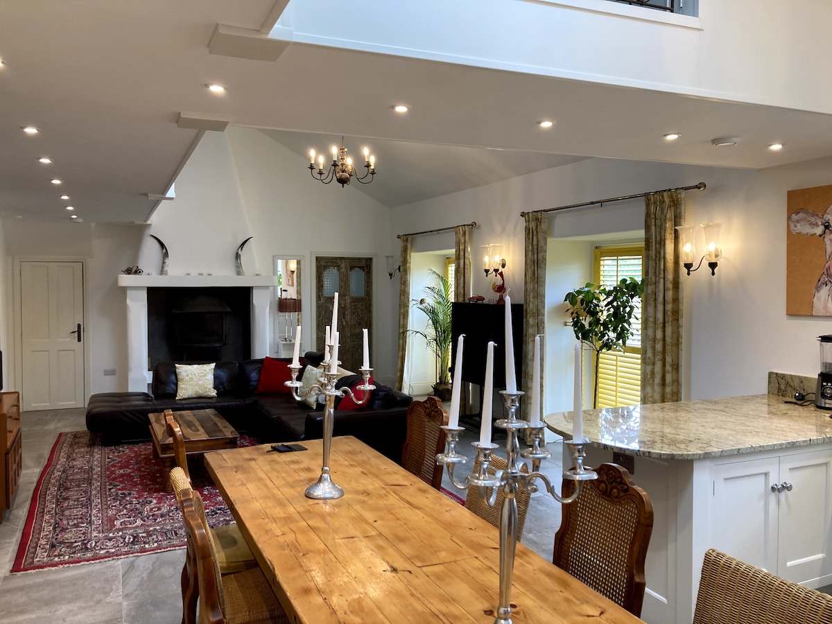 A spacious open-plan living area is observed, featuring a long wooden dining table surrounded by ornate chairs. A comfortable sofa is positioned nearby, with a fireplace accenting the space. Soft lighting from multiple ceiling fixtures creates a warm atmosphere, complemented by decorative elements.