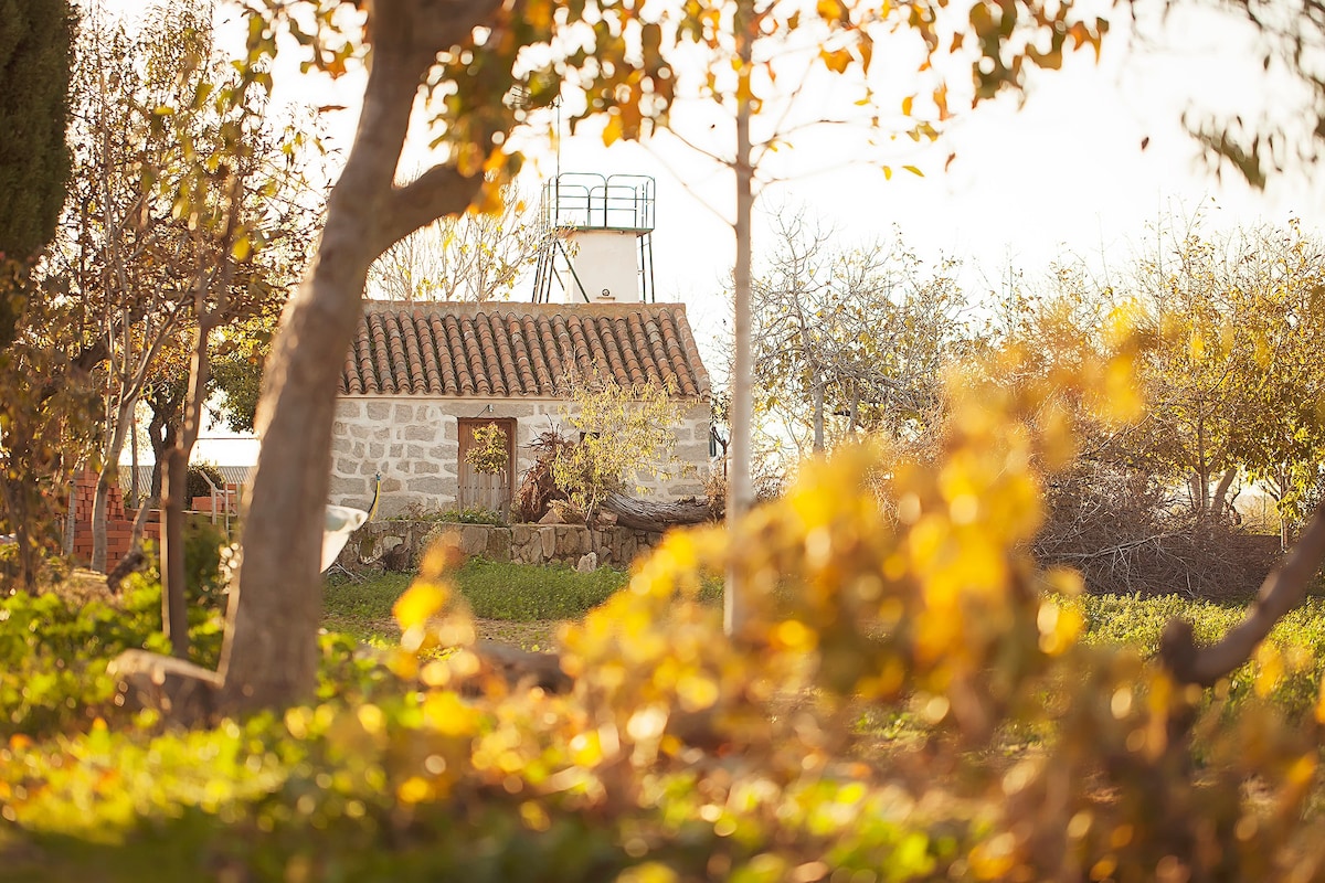 Las Navillas Vacation Rentals & Homes - Castilla-La Mancha, Spain | Airbnb