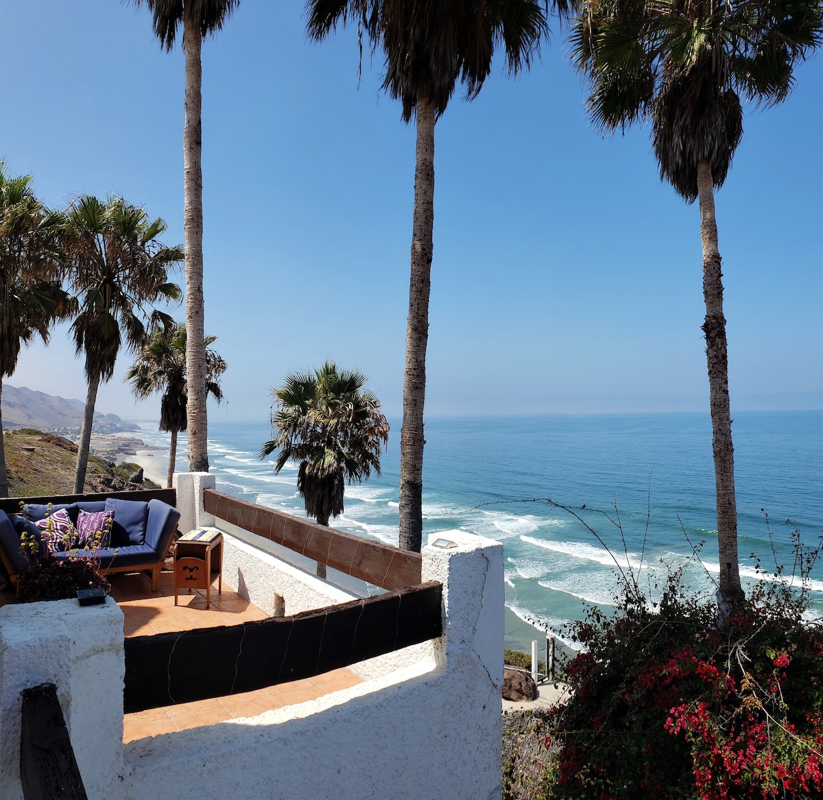The outdoor patio offers stunning ocean views framed by tall palm trees. The gentle waves can be seen in the distance, while a comfortable seating area with cushions invites relaxation. Vibrant flora adds color to the coastal scene, enhancing the serene atmosphere.