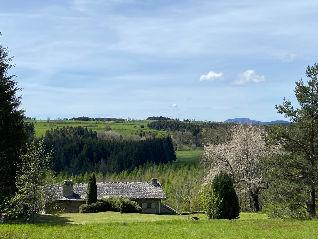 A panoramic view showcases a sprawling green landscape under a clear blue sky. A charming stone farmhouse sits amid lush greenery, bordered by tall trees and gentle hills in the distance, creating a sense of tranquility in the natural surroundings.