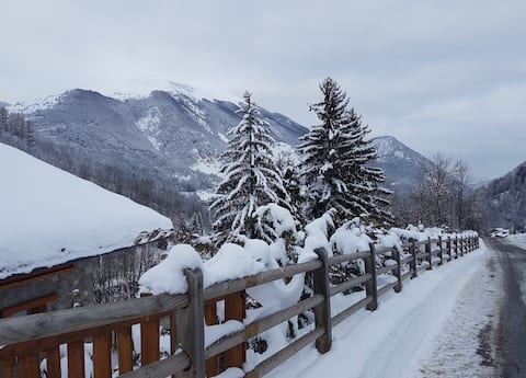 Modern-newly built chalet located on the slopes