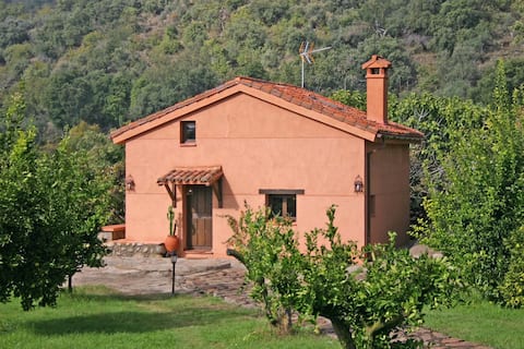 Top performing Airbnb: Elvira's Little House in Candeleda