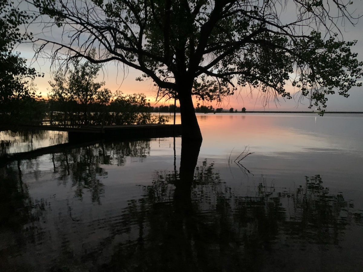 A serene view of a calm lake is framed by a large tree and surrounding foliage. The water reflects soft hues of orange and purple from the sunset, while the stillness creates a peaceful atmosphere. The shoreline is visible in the background, adding depth to the scene.