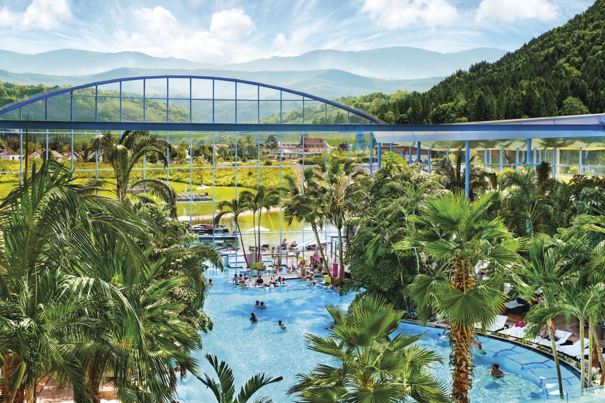 A large outdoor pool area is surrounded by lush palm trees and greenery, providing a relaxing environment. Mountains can be seen in the background under a clear blue sky, while guests enjoy the water. A spacious indoor facility is visible to the right.