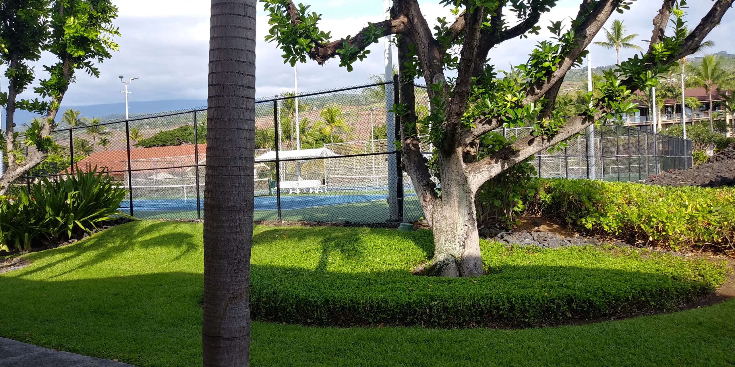 Condo in Kailua-Kona · ★4.95 · 2 bedrooms · 2 beds · 2 baths - Image 46